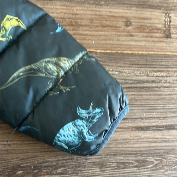 HM Kids Dinosaur Print Puffer Jacket - Picture 11 of 15